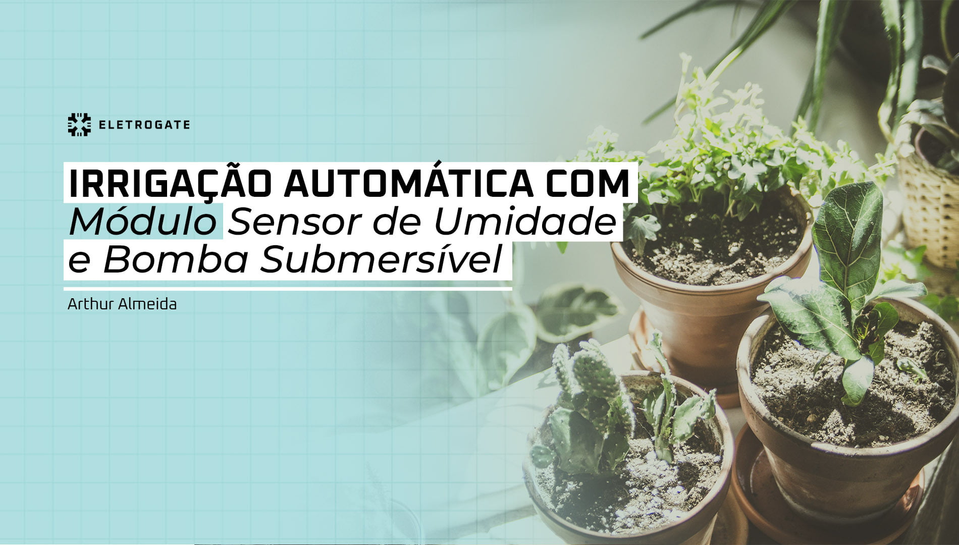 blog-eletrogate-irrigacao-automatica-sensor-umidade-capa