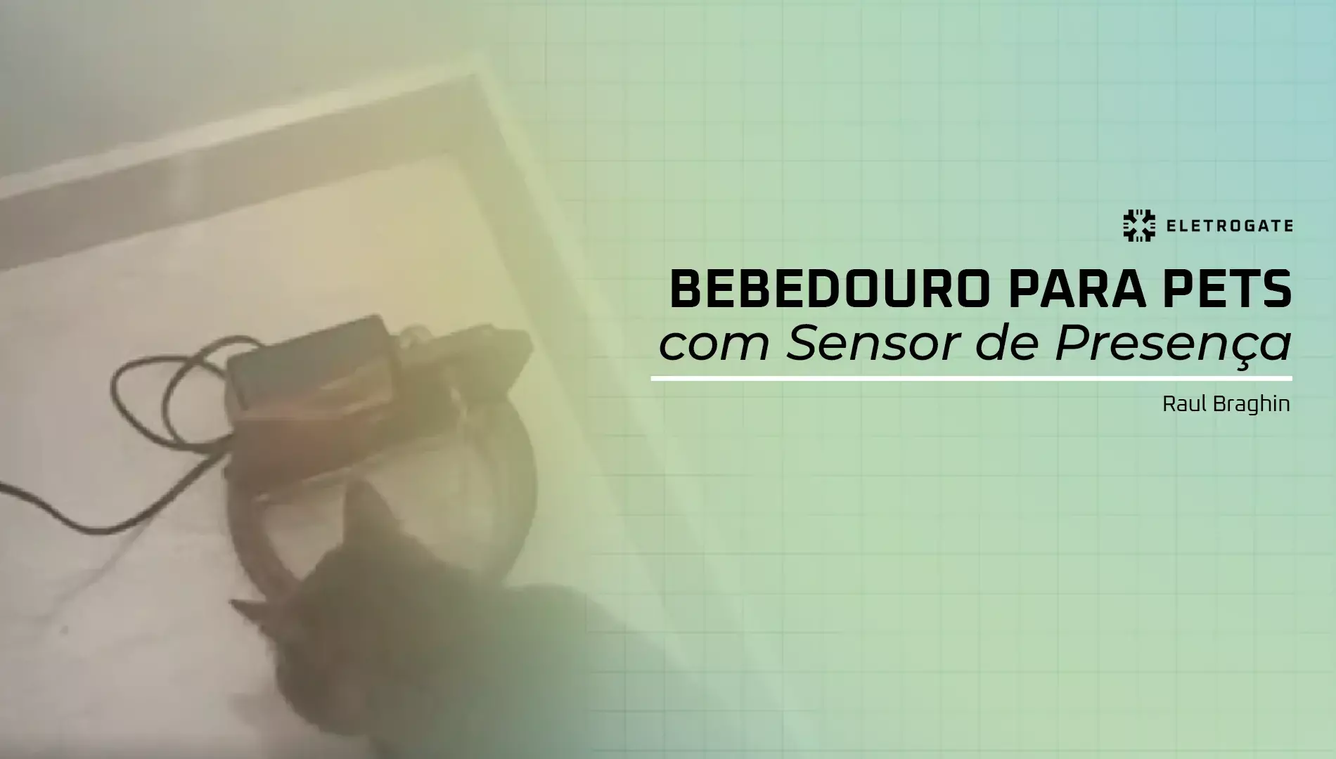 blog-eletrogate-bebedouro-pets-presenca-capa
