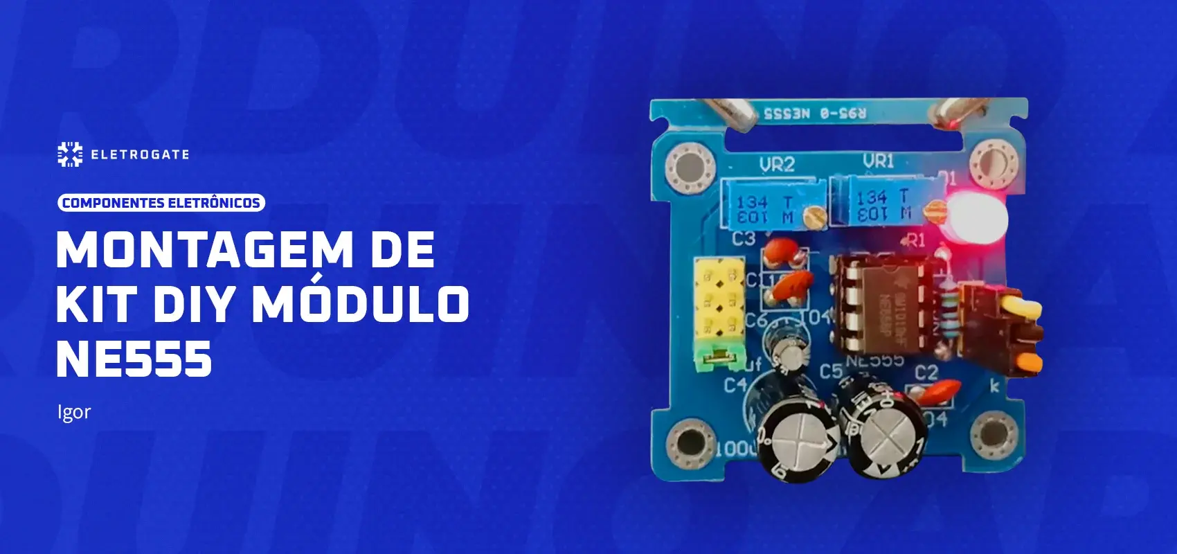 blog-eletrogate-montagem-ne-555-capa